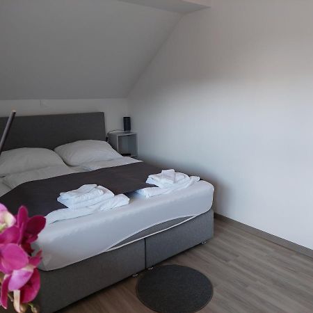Apartment Trubarjeva33, Near Ljubljana, Free Parking Velike Lasce Exterior photo