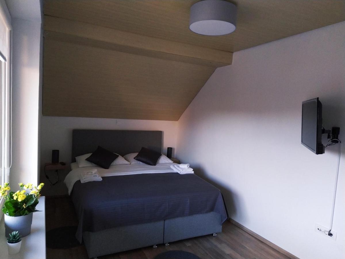 Apartment Trubarjeva33, Near Ljubljana, Free Parking Velike Lasce Exterior photo